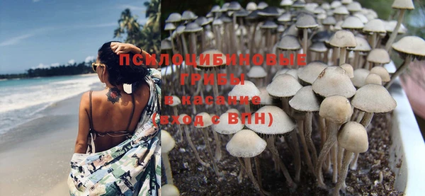 ПСИЛОЦИБИНОВЫЕ ГРИБЫ Краснотурьинск