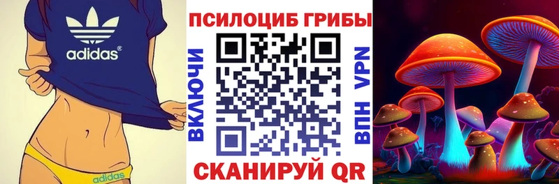 Купить закладки  Макаров  Галлюциногенные грибы Psilocybine cubensis 